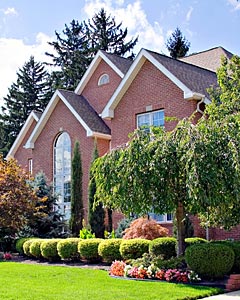 Residential Tree Services